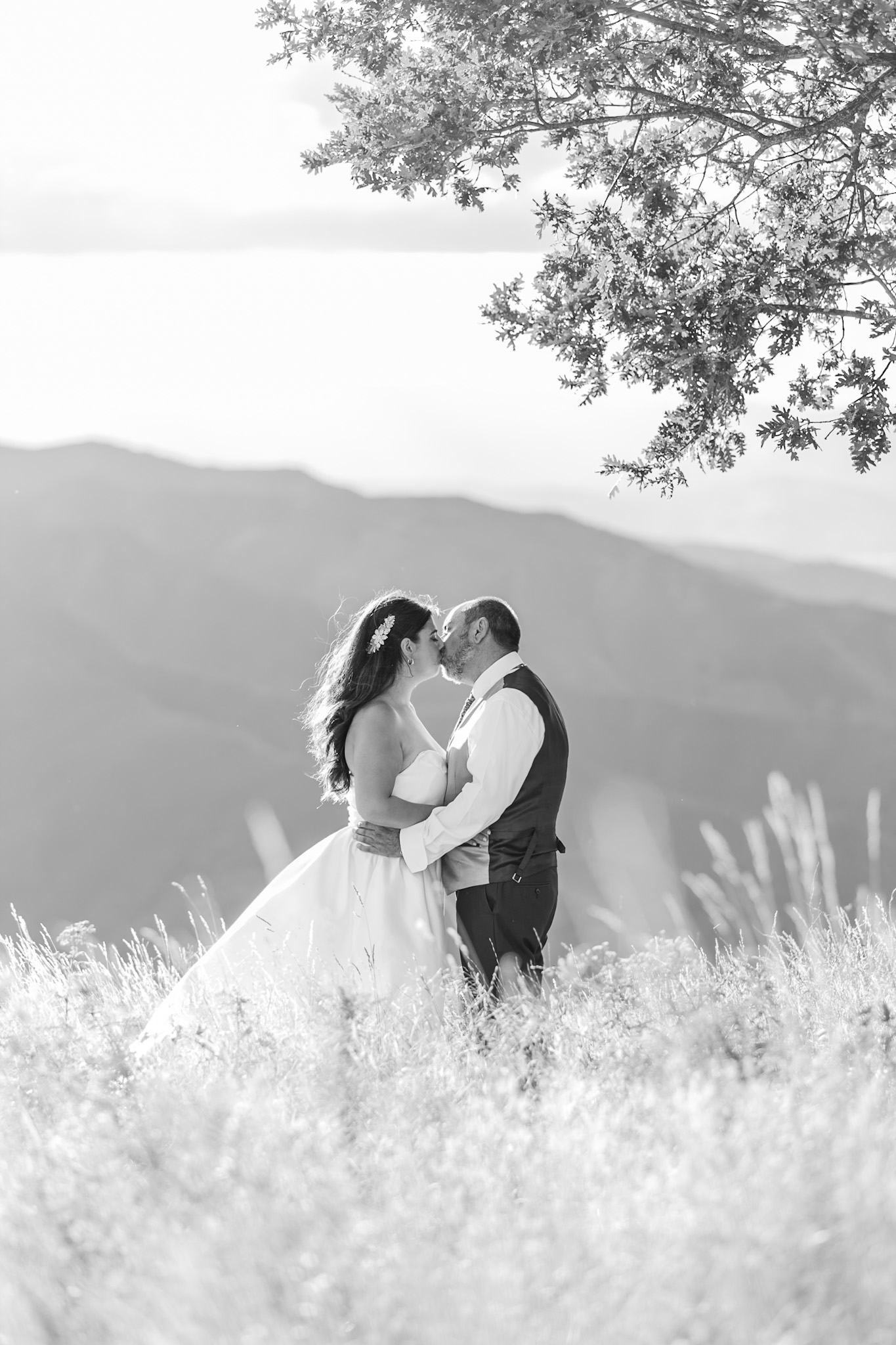 Bodas